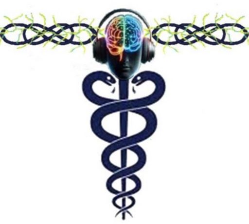 Carlos RIBEIRO "Analyste émotionnel"